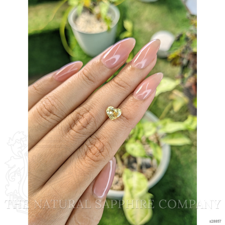 1.37 Ct. Yellow Sapphire from Ceylon (Sri Lanka)