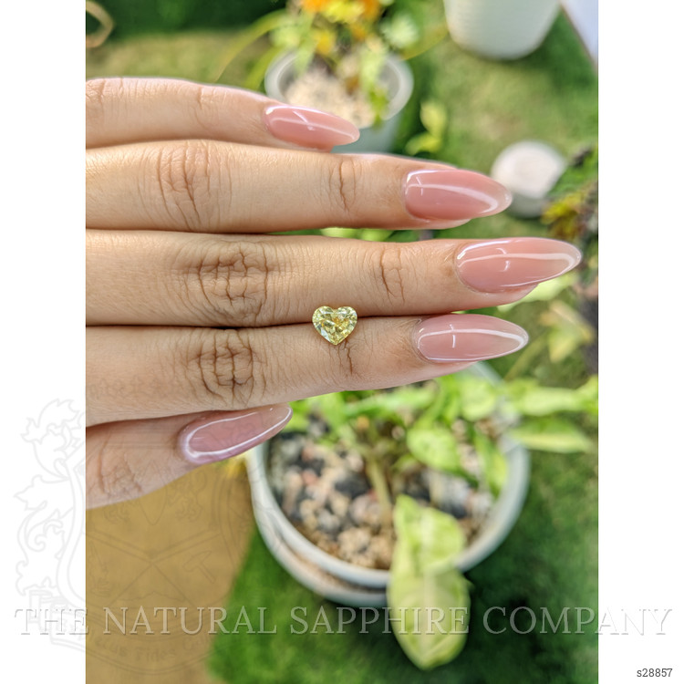 1.37 Ct. Yellow Sapphire from Ceylon (Sri Lanka)