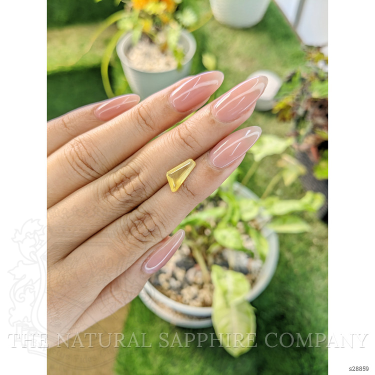 1.69 Ct. Yellow Sapphire from Ceylon (Sri Lanka)