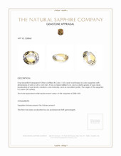 1.03 Ct. Bi Color Sapphire from Ceylon (Sri Lanka) Appraisal