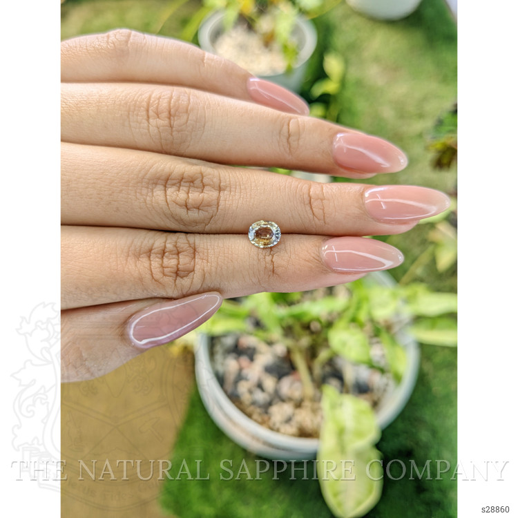 1.03 Ct. Bi Color Sapphire from Ceylon (Sri Lanka)