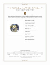Jewelry Scan Report