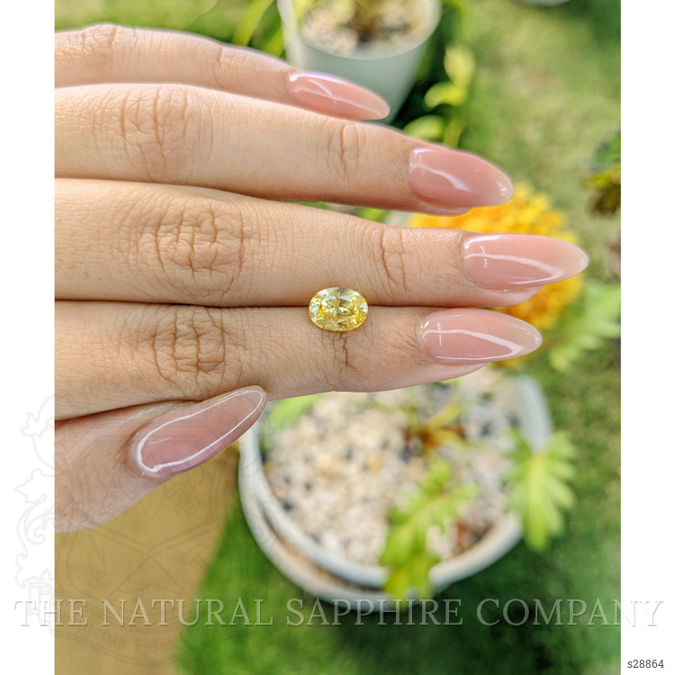 1.91 Ct. Yellow Sapphire from Ceylon (Sri Lanka)