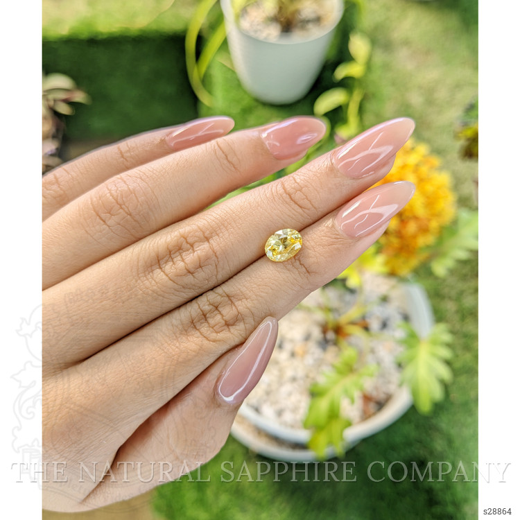 1.91 Ct. Yellow Sapphire from Ceylon (Sri Lanka)