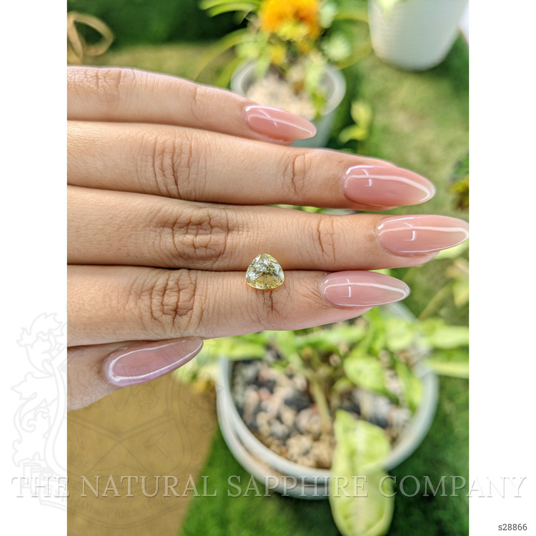 2.80 Ct. Yellow Sapphire from Ceylon (Sri Lanka)