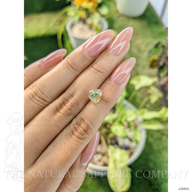 2.80 Ct. Yellow Sapphire from Ceylon (Sri Lanka)