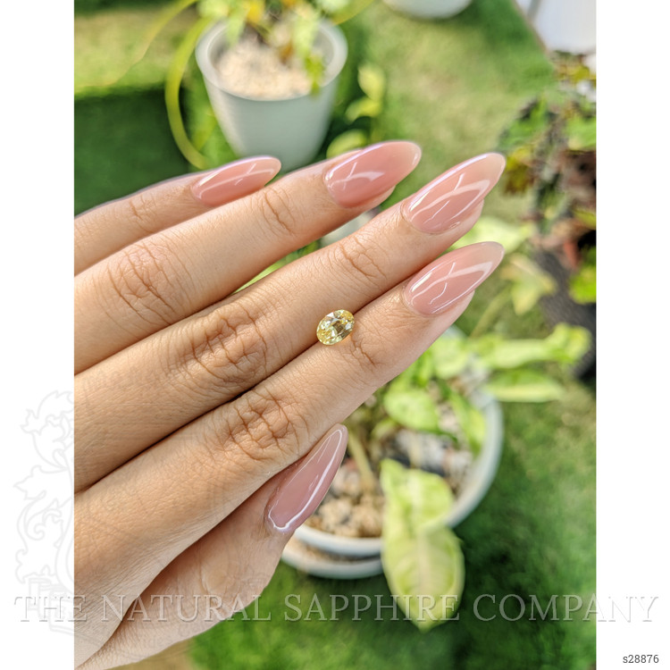 1.35 Ct. Yellow Sapphire from Ceylon (Sri Lanka)