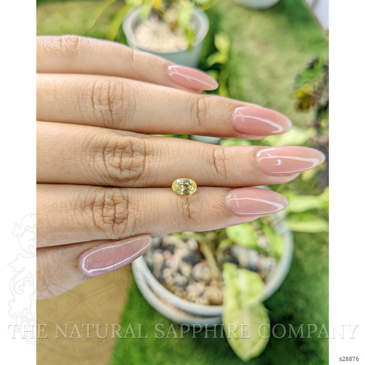 1.35 Ct. Yellow Sapphire from Ceylon (Sri Lanka)