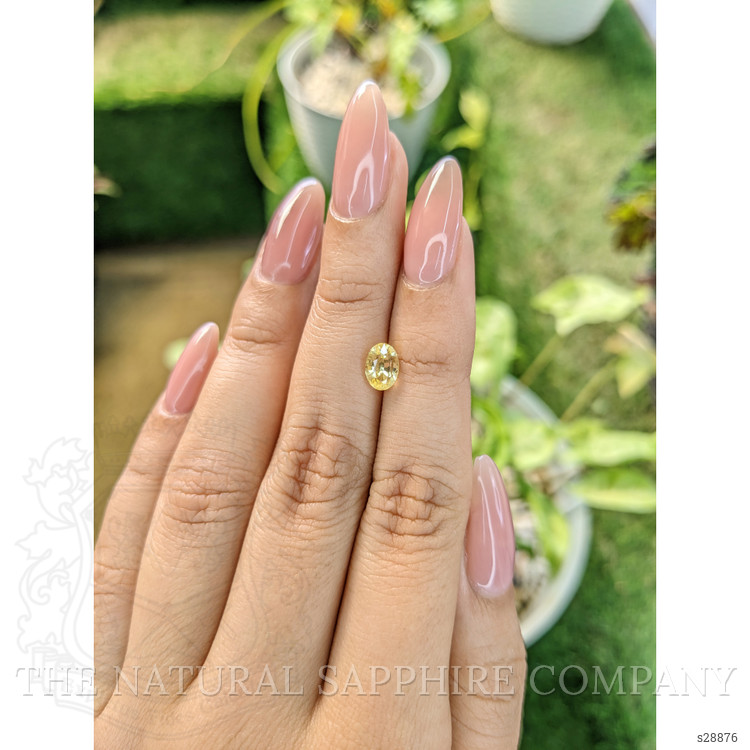 1.35 Ct. Yellow Sapphire from Ceylon (Sri Lanka)