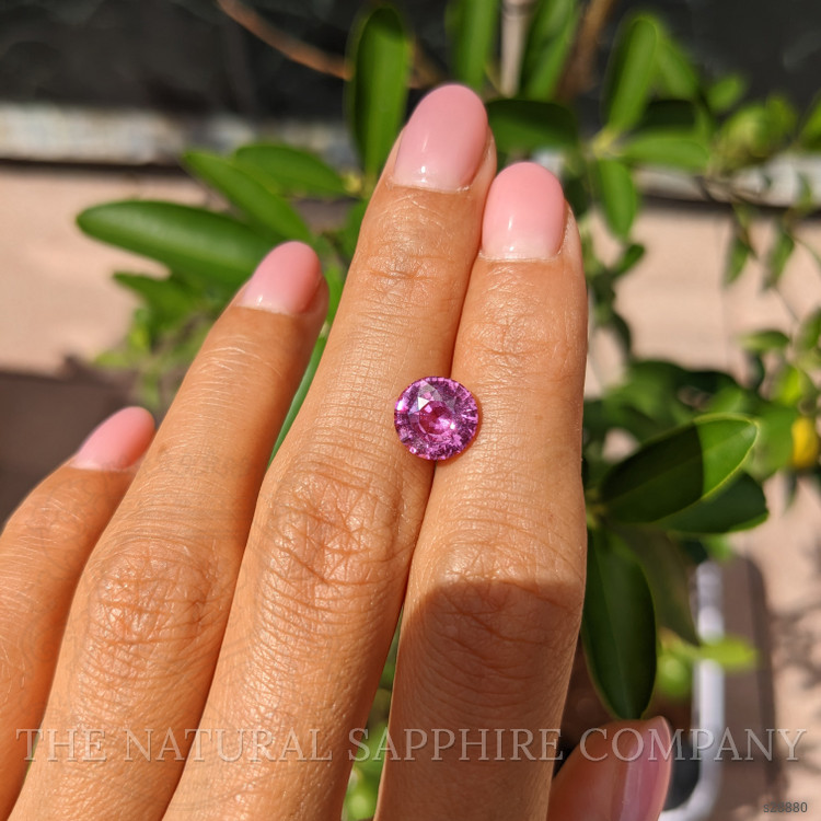 3.13 Ct. Pink Sapphire from Ceylon (Sri Lanka)