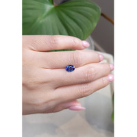 1.56 Ct. Blue Sapphire from Ceylon (Sri Lanka) Life Style