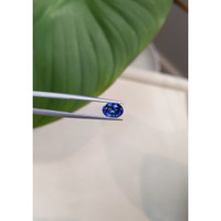 1.56 Ct. Blue Sapphire from Ceylon (Sri Lanka) Life Style