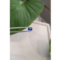 1.48 Ct. Blue Sapphire from Ceylon (Sri Lanka) Life Style