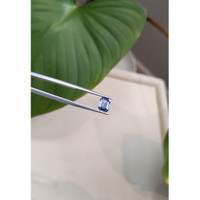 1.75 Ct. Blue Sapphire from Ceylon (Sri Lanka) Life Style