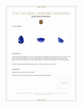 0.96 Ct. Blue Sapphire from Ceylon (Sri Lanka) Appraisal
