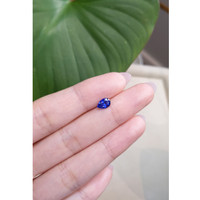 0.96 Ct. Blue Sapphire from Ceylon (Sri Lanka) Life Style
