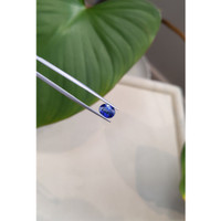 1.58 Ct. Blue Sapphire from Ceylon (Sri Lanka) Life Style
