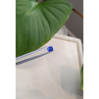 1.33 Ct. Blue Sapphire from Ceylon (Sri Lanka) Life Style