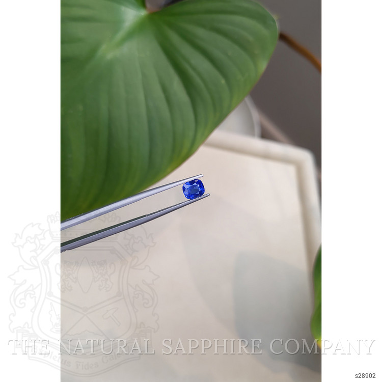 1.33 Ct. Blue Sapphire from Ceylon (Sri Lanka)