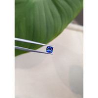 0.88 Ct. Blue Sapphire from Ceylon (Sri Lanka) Life Style