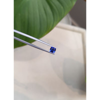 1.03 Ct. Blue Sapphire from Ceylon (Sri Lanka) Life Style