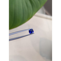 0.81 Ct. Blue Sapphire from Ceylon (Sri Lanka) Life Style