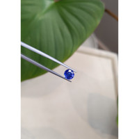 1.21 Ct. Blue Sapphire from Ceylon (Sri Lanka) Life Style
