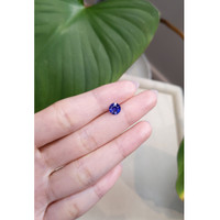 1.06 Ct. Blue Sapphire from Ceylon (Sri Lanka) Life Style