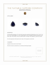 1.05 Ct. Blue Sapphire from Ceylon (Sri Lanka) Appraisal