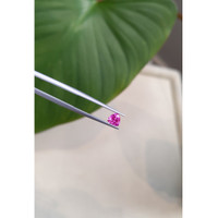 0.79 Ct. Pink Sapphire from Ceylon (Sri Lanka) Life Style