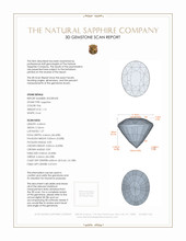 Jewelry 3 D Scan Report