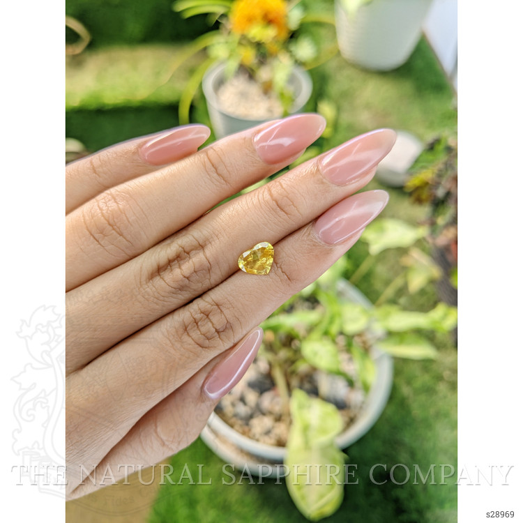 1.54 Ct. Yellow Sapphire from Ceylon (Sri Lanka)