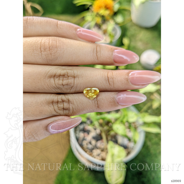 1.54 Ct. Yellow Sapphire from Ceylon (Sri Lanka)
