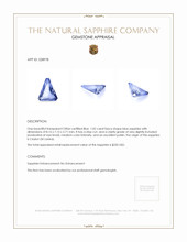 1.02 Ct. Blue Sapphire from Ceylon (Sri Lanka) Appraisal