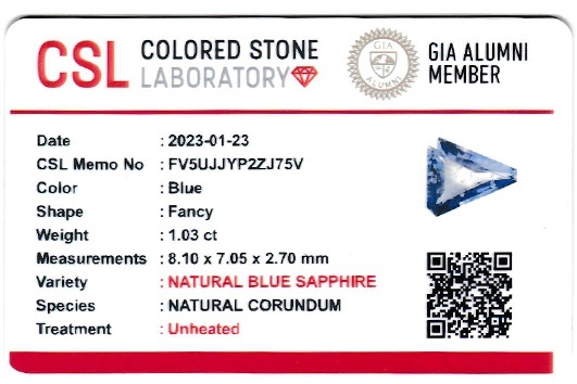 1.02 Ct. Blue Sapphire from Ceylon (Sri Lanka)