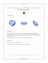 1.17 Ct. Blue Sapphire from Ceylon (Sri Lanka) Appraisal
