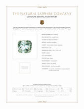 2.49 Ct. Bluish Green Sapphire from Ceylon (Sri Lanka) Scan Report