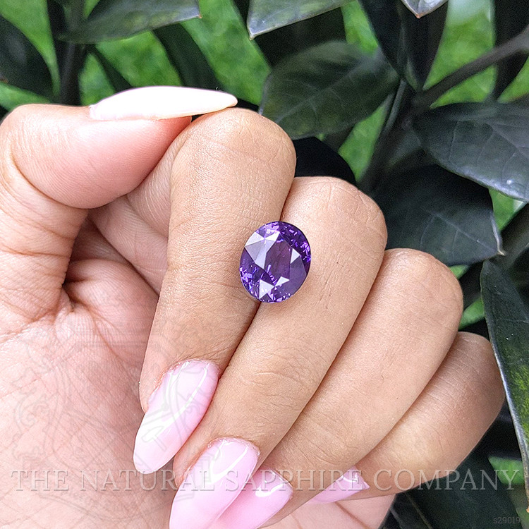 7.02 Ct. Color Change Sapphire from Ceylon (Sri Lanka)