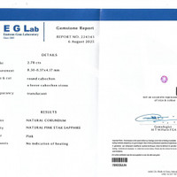 2.78 Ct. Pink Star Sapphire from Ceylon (Sri Lanka) Pdf