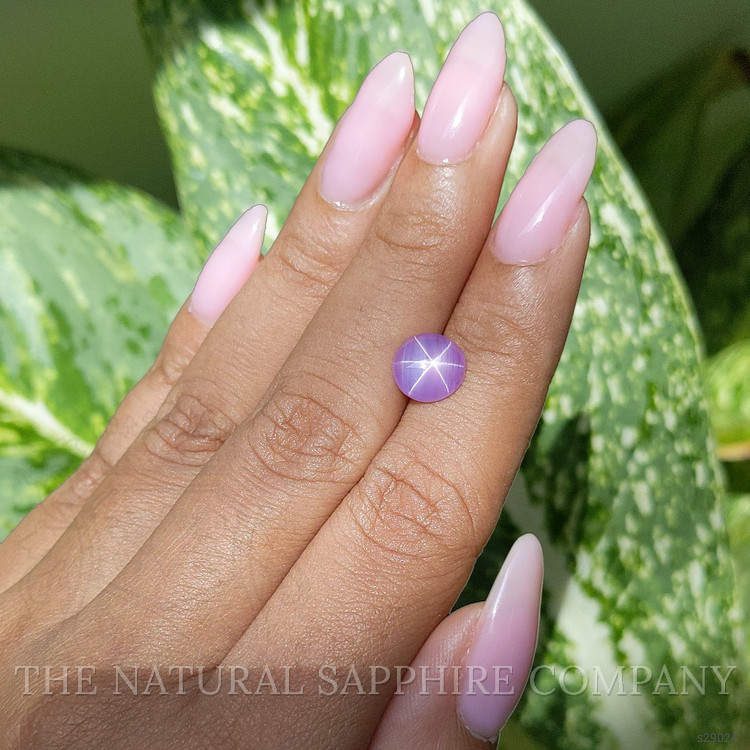 2.78 Ct. Pink Star Sapphire from Ceylon (Sri Lanka)