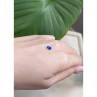 0.50 Ct. Blue Sapphire from Ceylon (Sri Lanka) Life Style