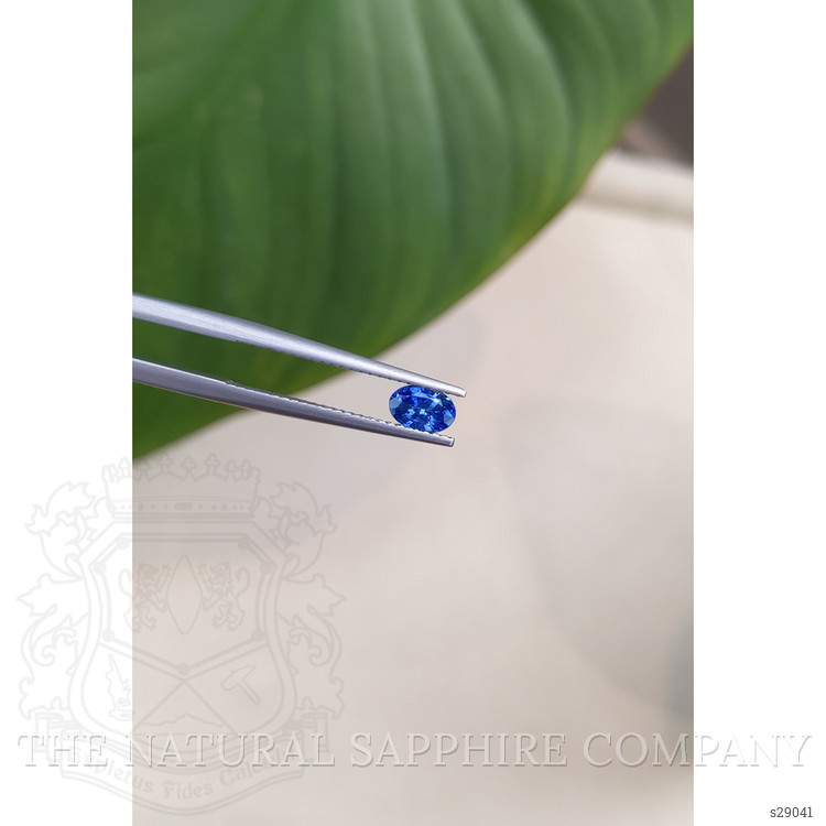 0.50 Ct. Blue Sapphire from Ceylon (Sri Lanka)