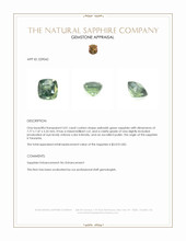 3.01 Ct. Yellowish Green Sapphire from Tanzania Appraisal