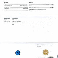 2.61 Ct. Blue Sapphire from Ceylon (Sri Lanka) Scan Report