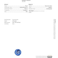 3.92 Ct. Blue Sapphire from Ceylon (Sri Lanka) Scan Report