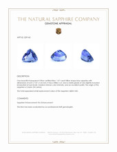 1.07 Ct. Blue Sapphire from Ceylon (Sri Lanka) Appraisal