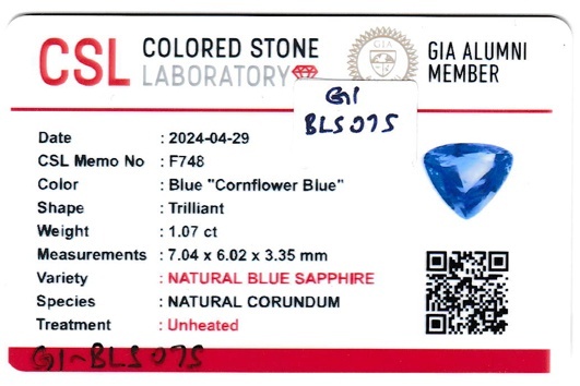 1.07 Ct. Blue Sapphire from Ceylon (Sri Lanka)