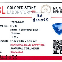 1.07 Ct. Blue Sapphire from Ceylon (Sri Lanka) Scan Report