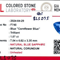 1.07 Ct. Blue Sapphire from Ceylon (Sri Lanka) Scan Report