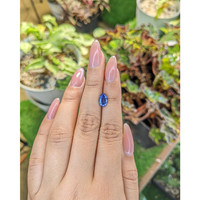 1.65 Ct. Blue Sapphire from Ceylon (Sri Lanka) Life Style